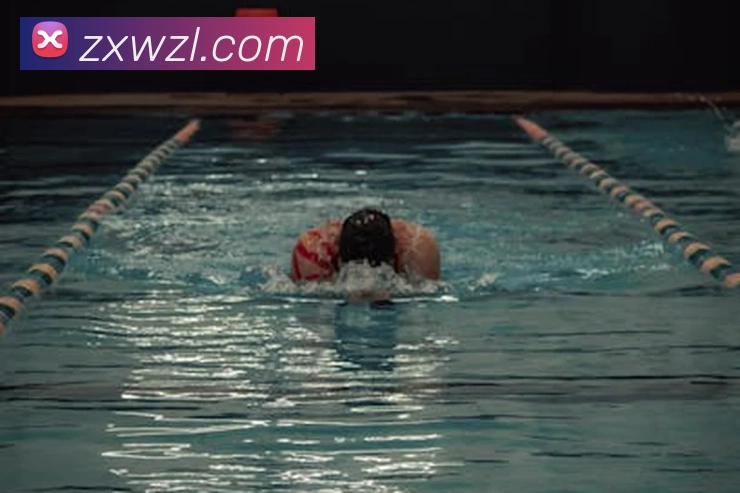 尊龙凯时平台生态图